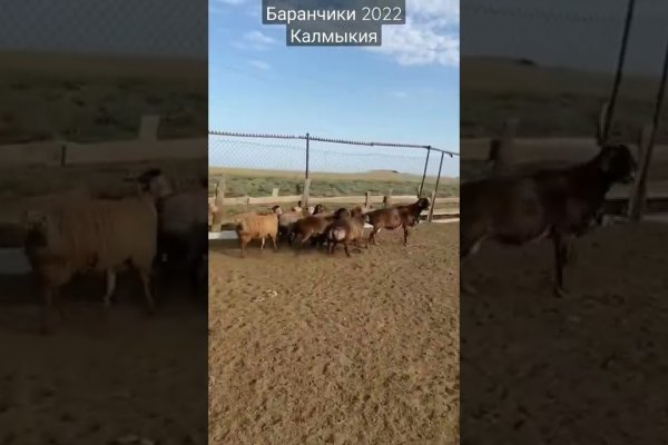 Забыл пароль от кракен