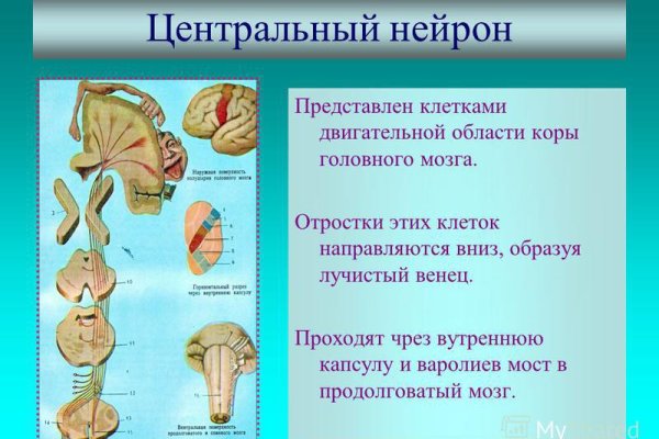 Восстановить аккаунт кракен